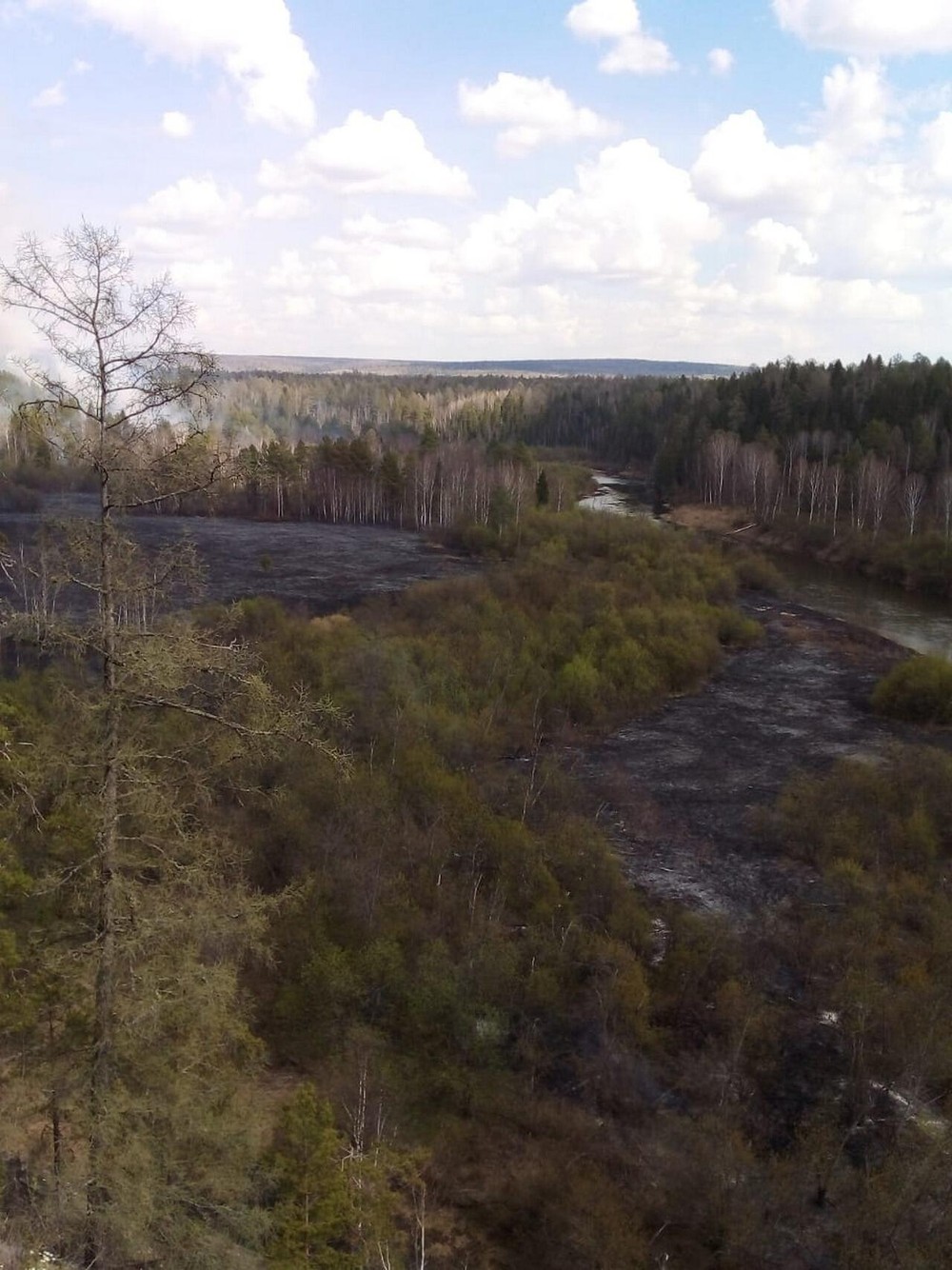 Возгорание в природном парке 