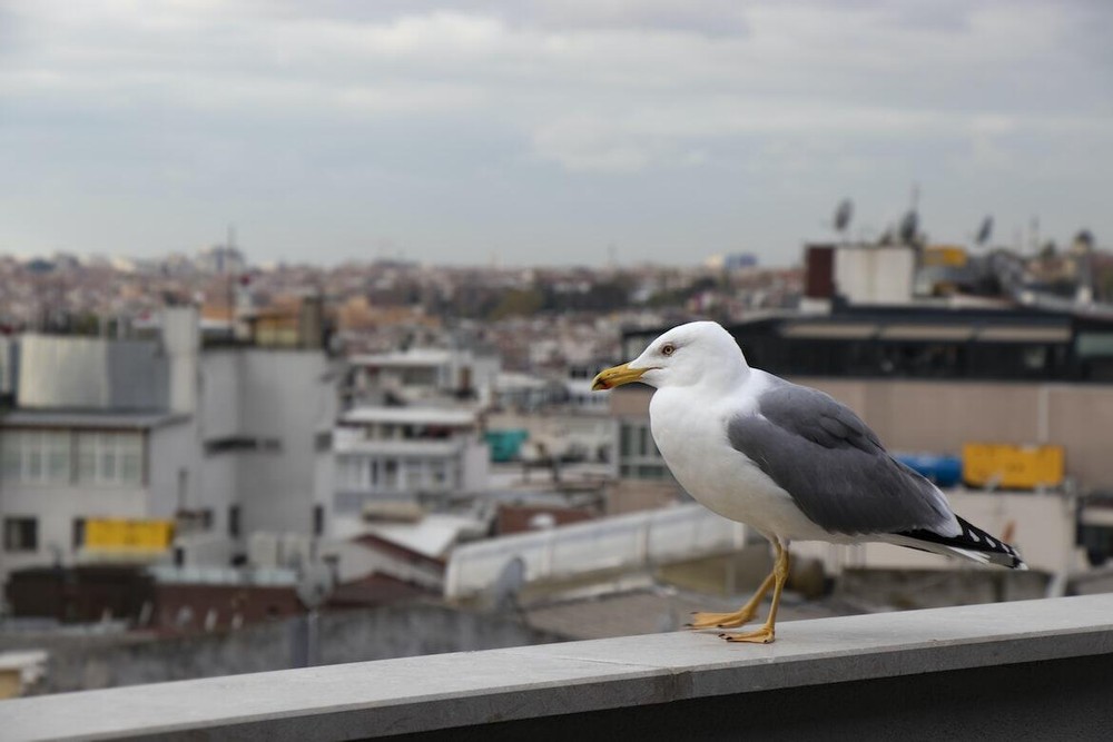 Фото: Olha Ivanova / Unsplash 