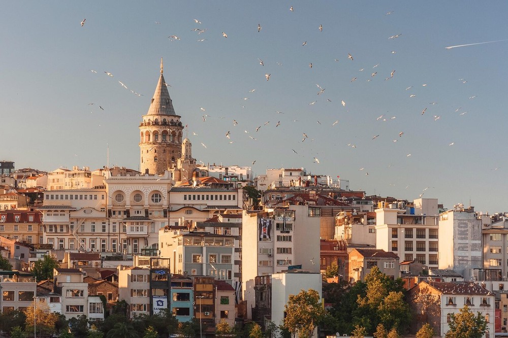  Фото: Anna Berdnik / Unsplash