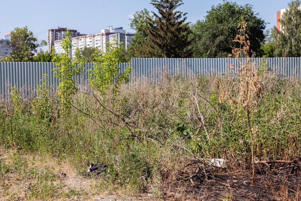 Вид на Заречный микрорайон с улицы Плавильщиков. Фото: Игорь Брук / It's My City
