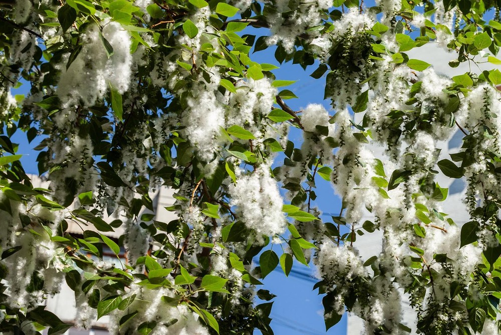 Фото: Игорь Брук / It's My City