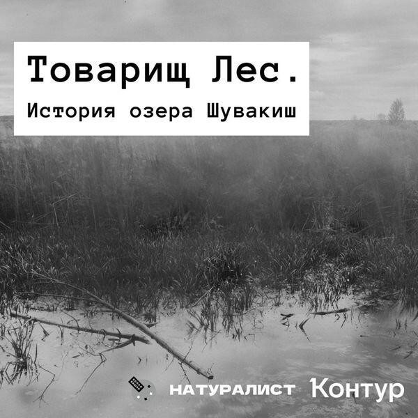 Фото: подкаст-студия «Послушайте»
