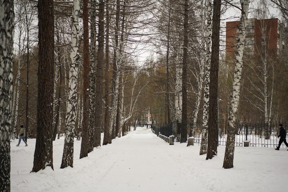 Фото: Елена Елизарова / It's My City
