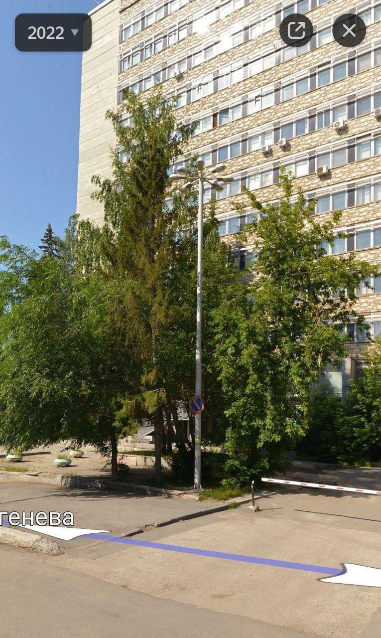 Вот так это пространство выглядело до вырубки. Фото: сообщество 