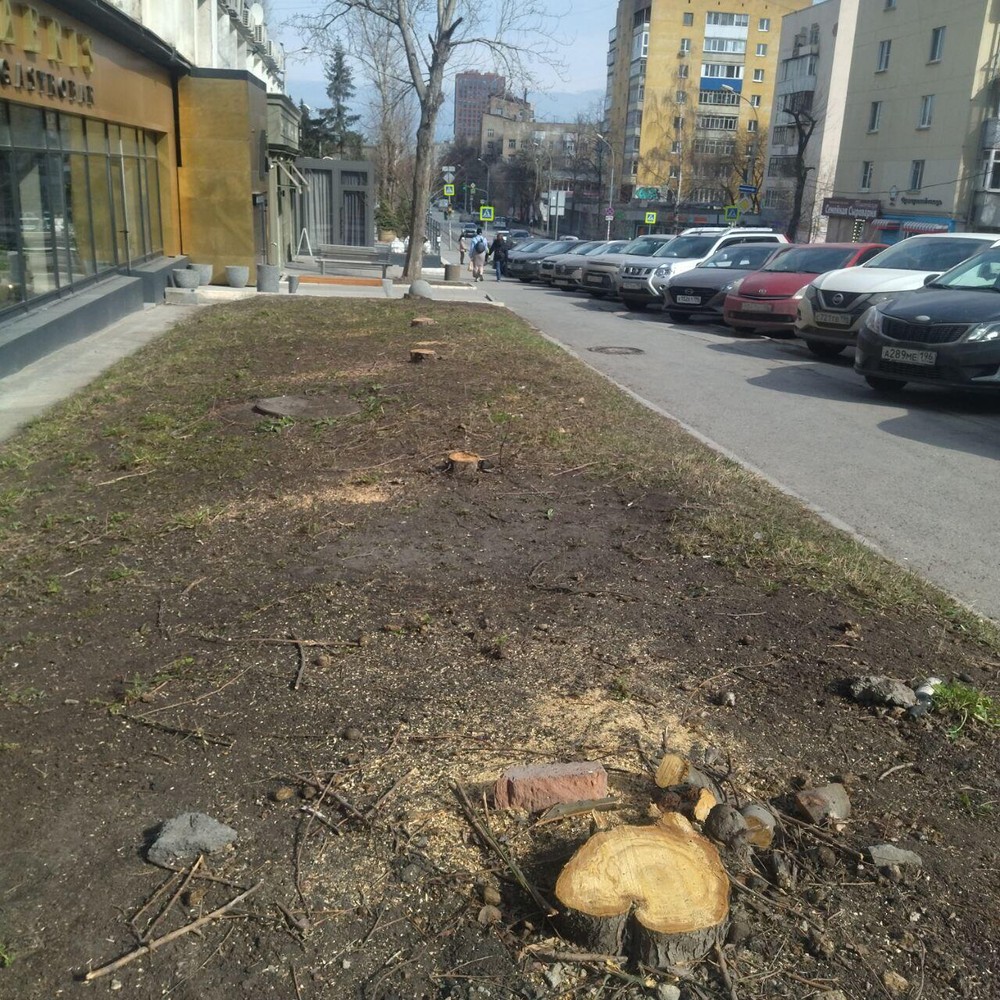 Фото: читатель It's My City