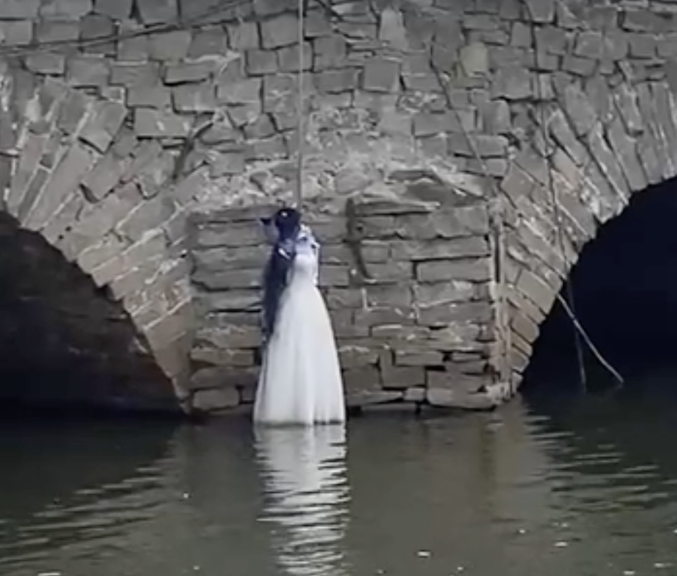 Фото: скриншот видео E1