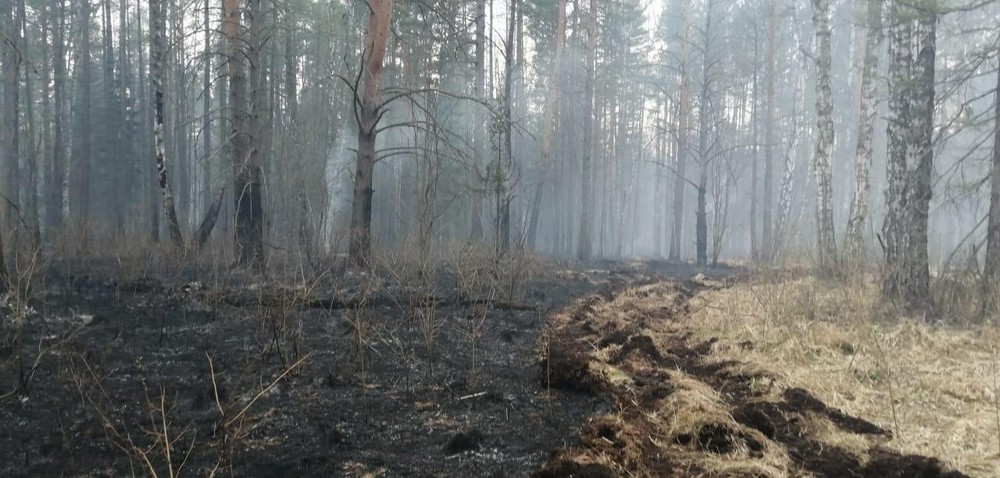 Пожар в природном парке 