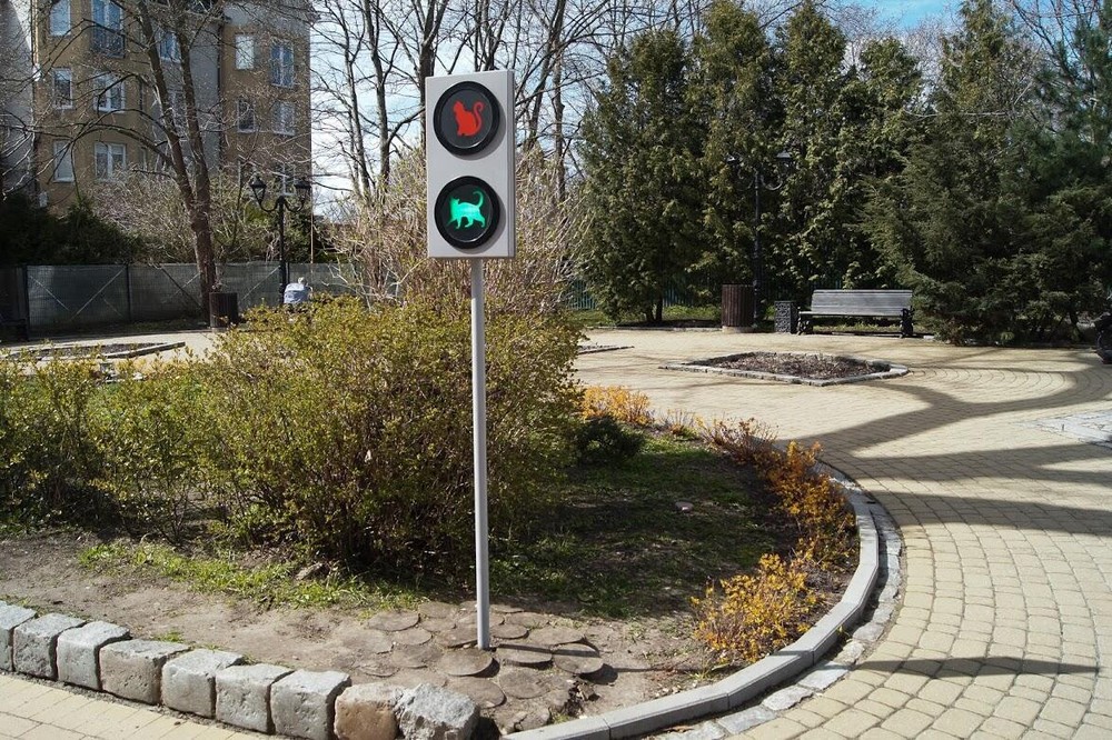 Котосветофор на аллее Курортного проспекта