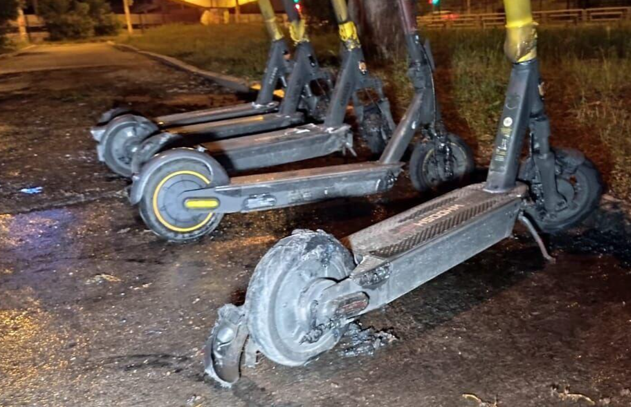 Фото: «Ночные новости»