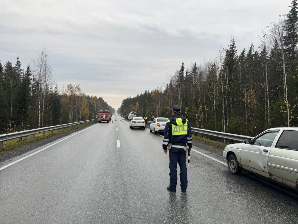 Фото: Госавтоинспекция Свердловской области