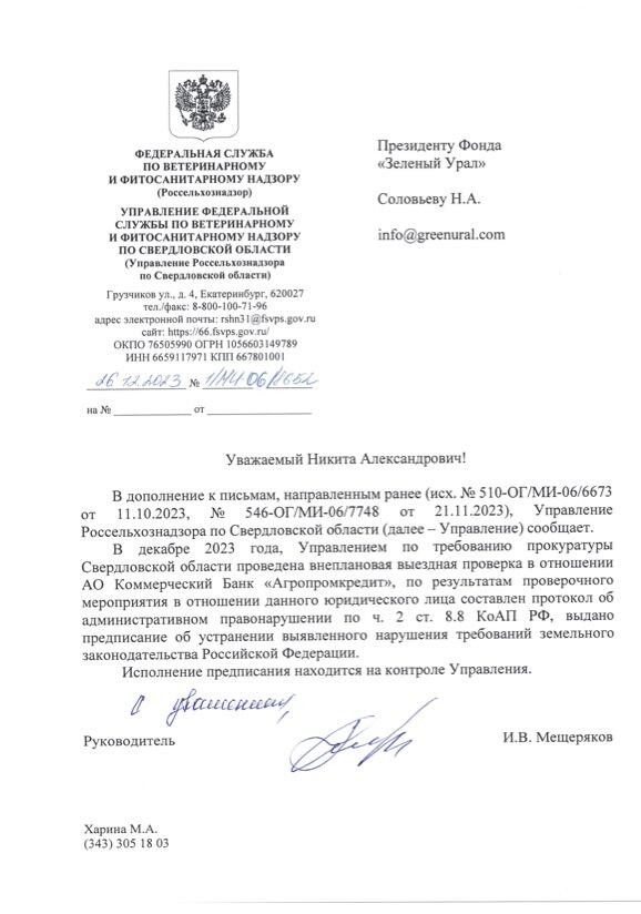 Фото: Никита Соловьев