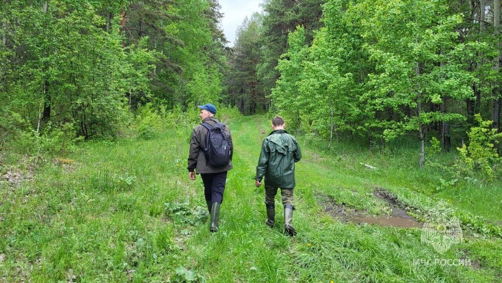 Фото: пресс-служба МЧС России