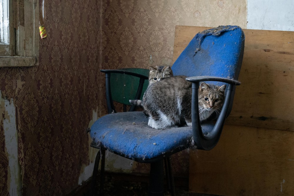 Фото: Илья Вага / It’s My&nbsp;City