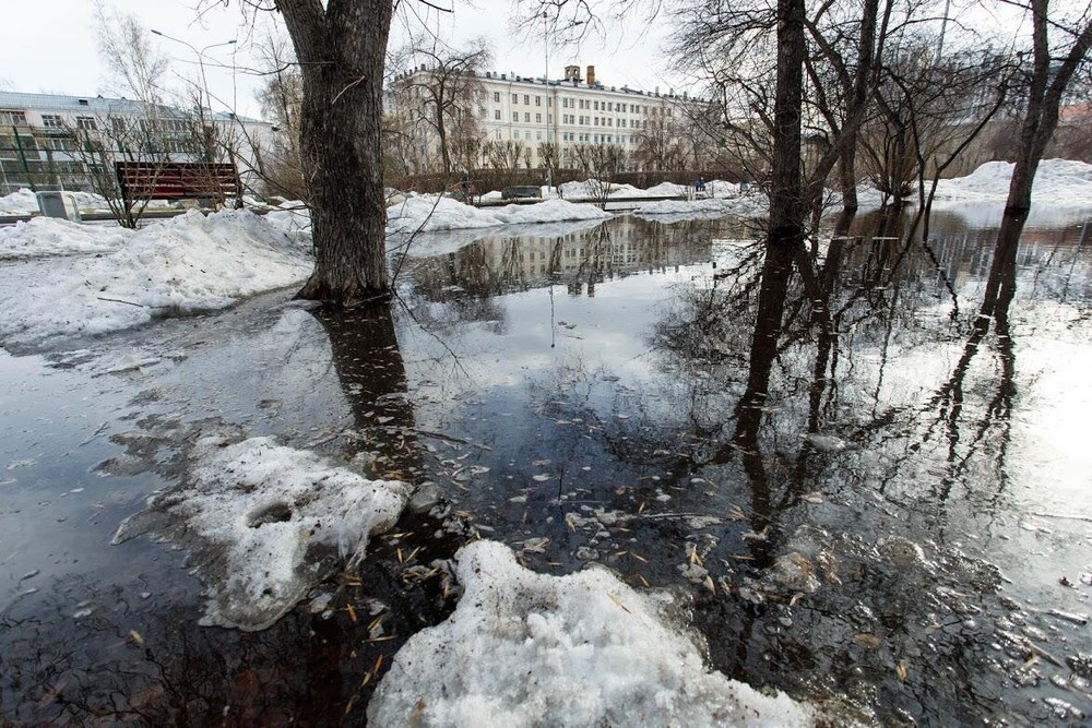 В парке Павлика Морозова затопило и деревья, и дорожки. Фото: Марина Молдавская / It's My City
