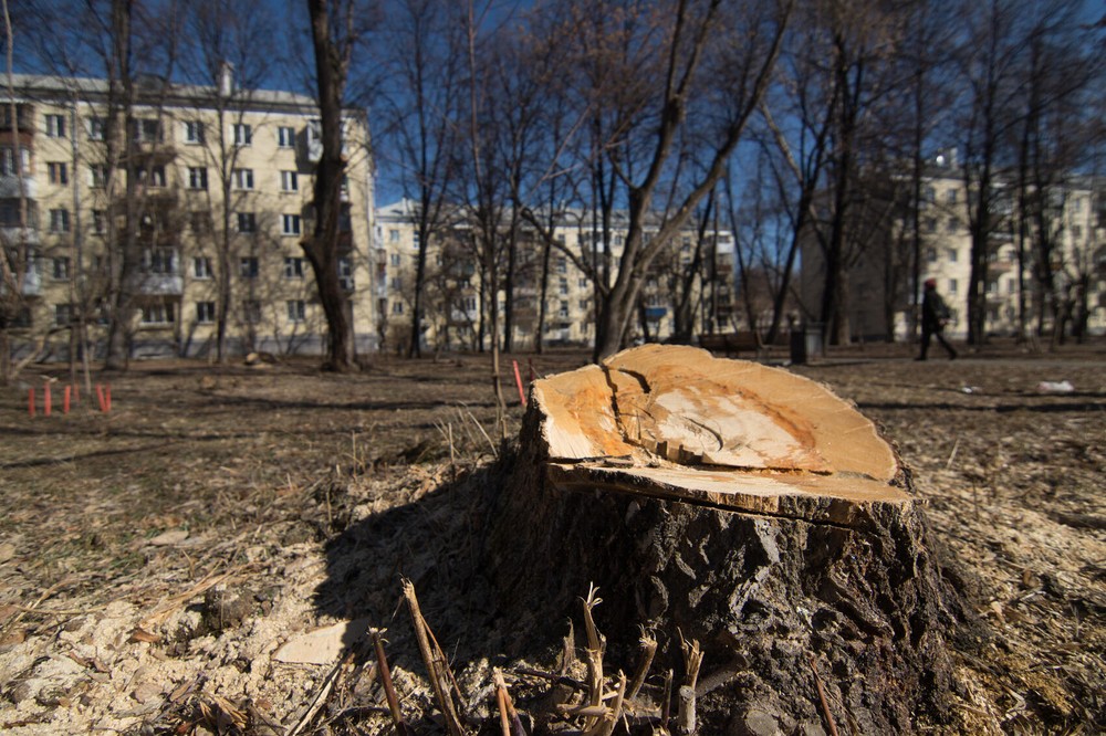 Фото: Елена Елизарова / It's My City