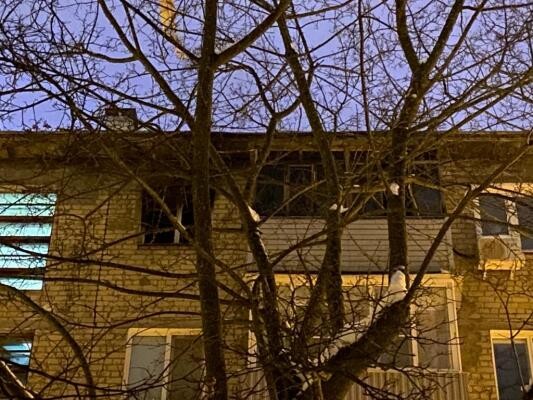 СУСК России по Пензенской области