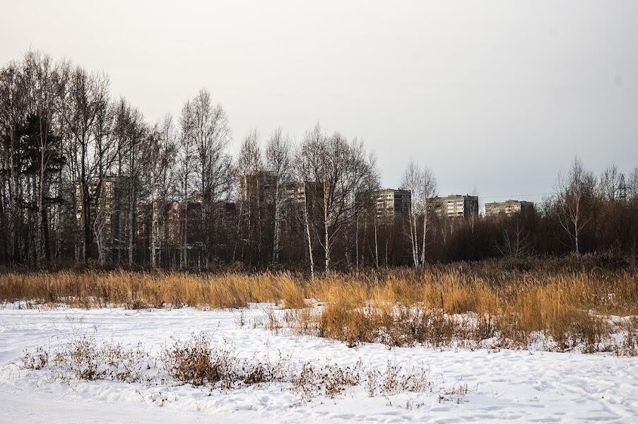 Фото: Арина Томашова / It’s My&nbsp;City