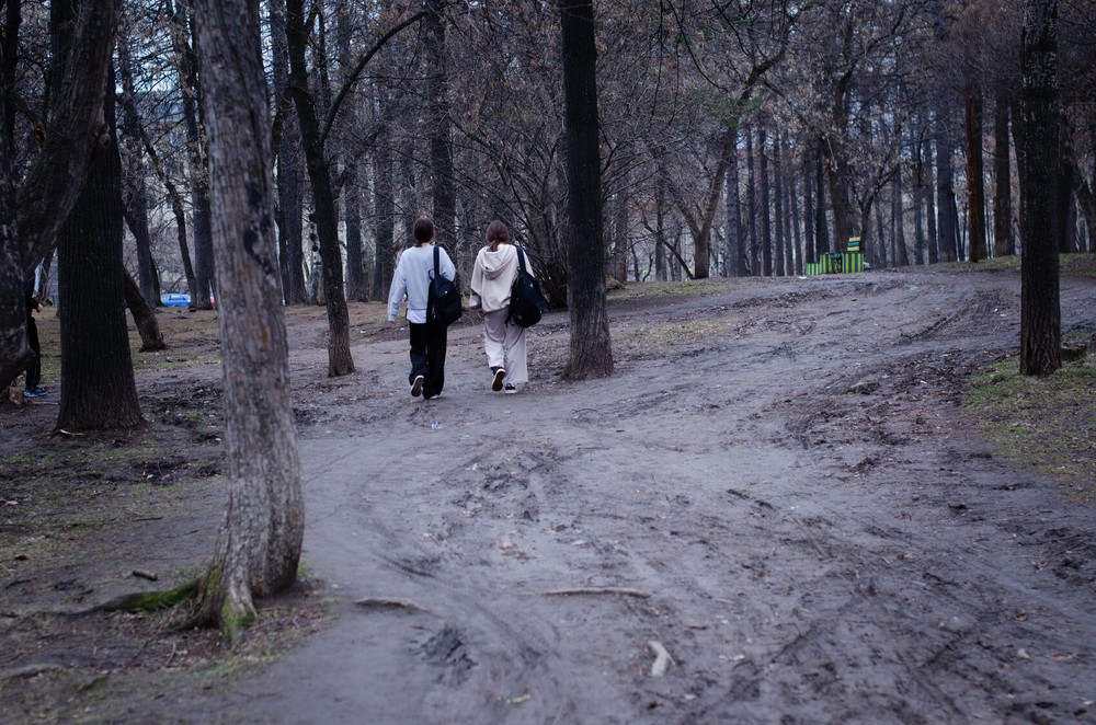 Сейчас дорожки на Метеогорке выглядят так. Фото: Евгения Кобеева / It’s My&nbsp;City