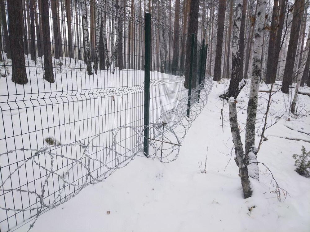 Фото: Татьяна Знак