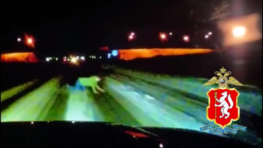 Скриншот из видео / ГИБДД по Свердловской области