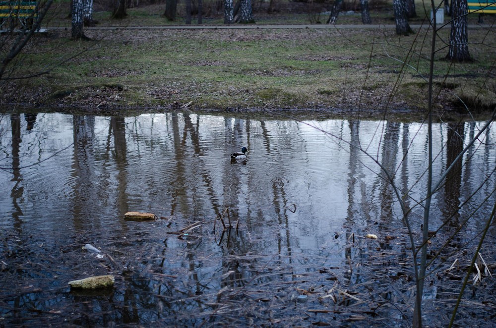 Фото: Евгения Кобеева / It’s My&nbsp;City