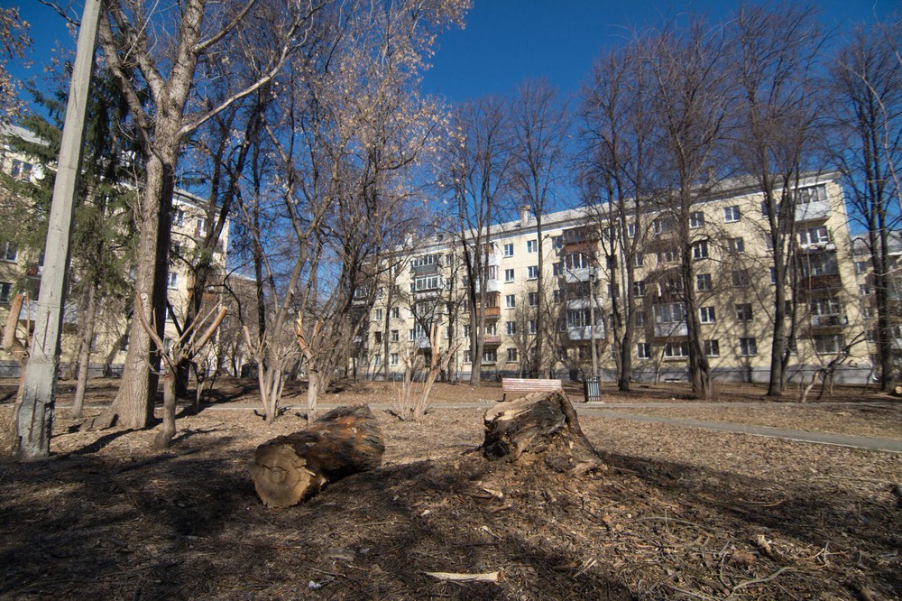 Фото: Елена Елизарова / It's My City