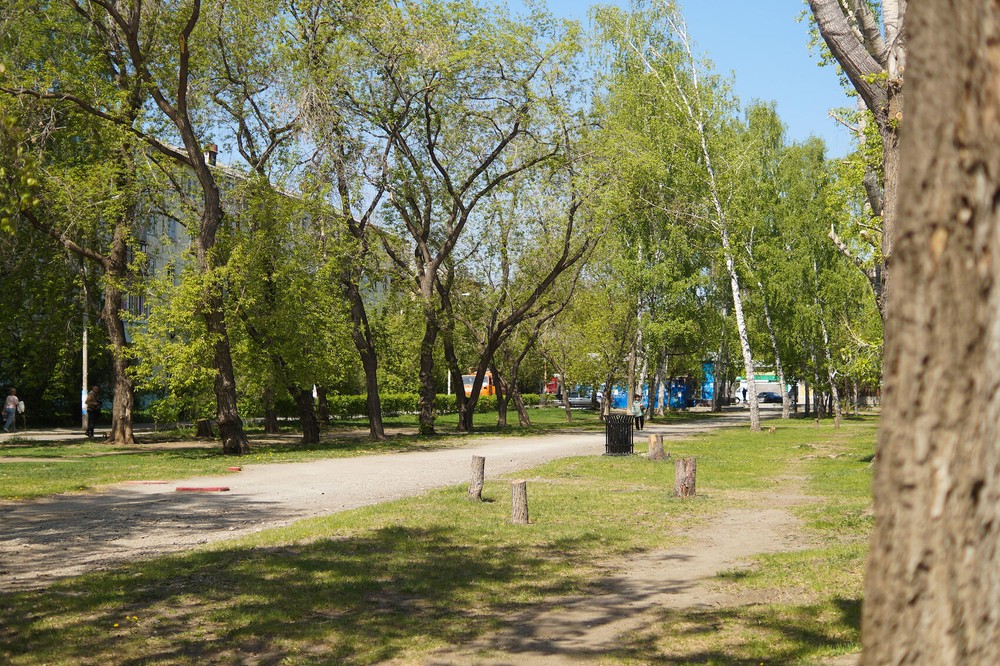 Фото: Елена Елизарова / It’s My&nbsp;City