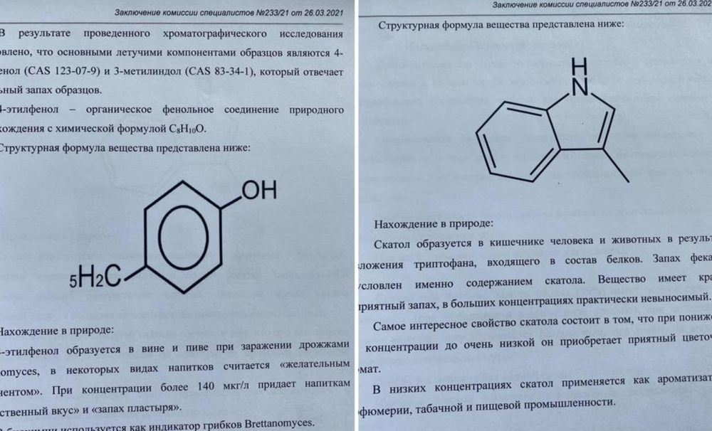 Фрагмент экспертизы, опубликованный «Новой газетой»