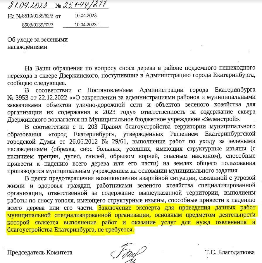 Фото: телеграм-канал «Деревья Екатеринбурга».