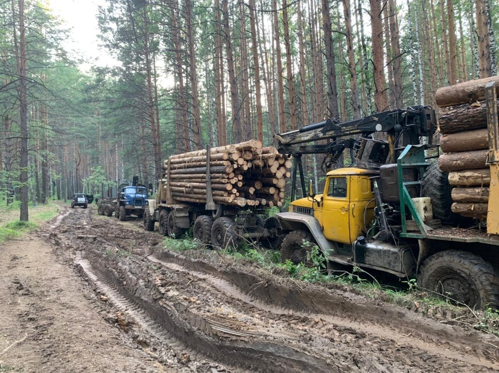 Фото: Алексей Куманяев