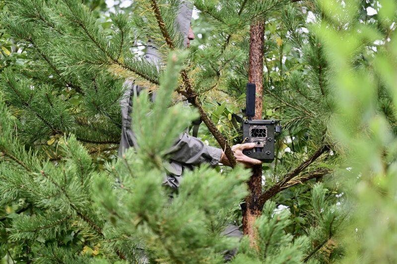 Фотоловушка. Фото: департамент информационной политики Свердловской области