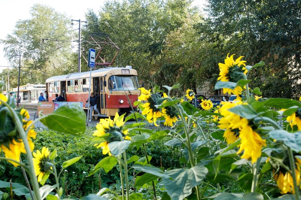 Фото: Марина Молдавская / It's My City