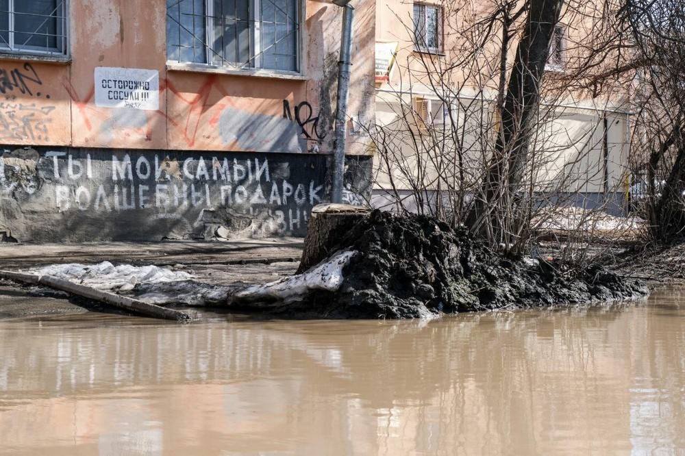 Фото: Саша Зубковский / It's My City