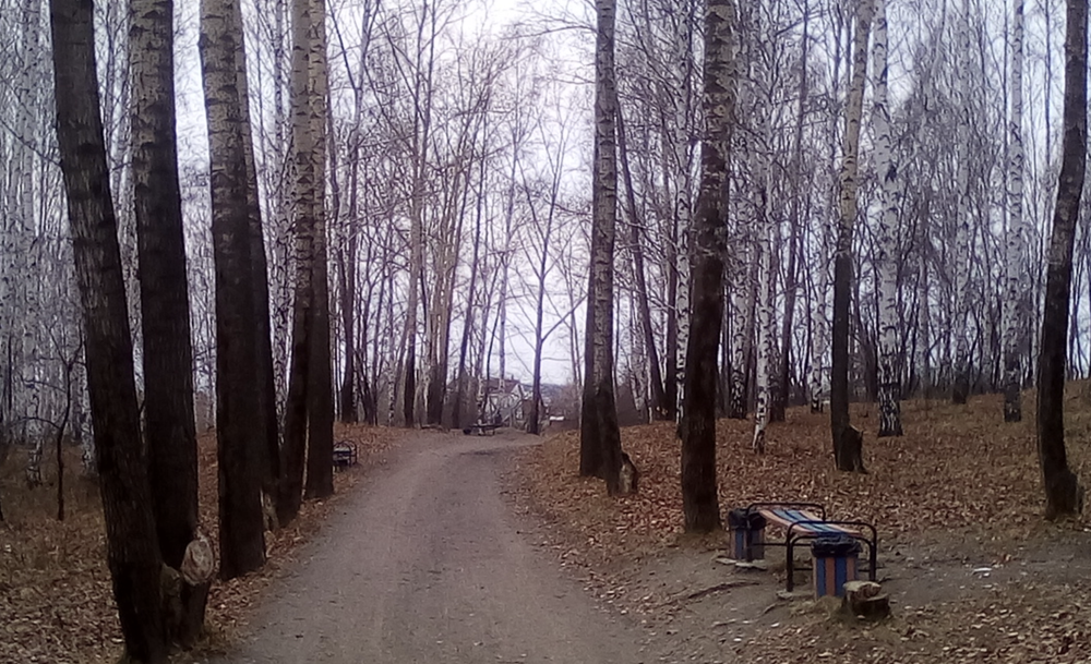 Так выглядит парк последние несколько лет. Скриншот: Алексей М. / Google Maps