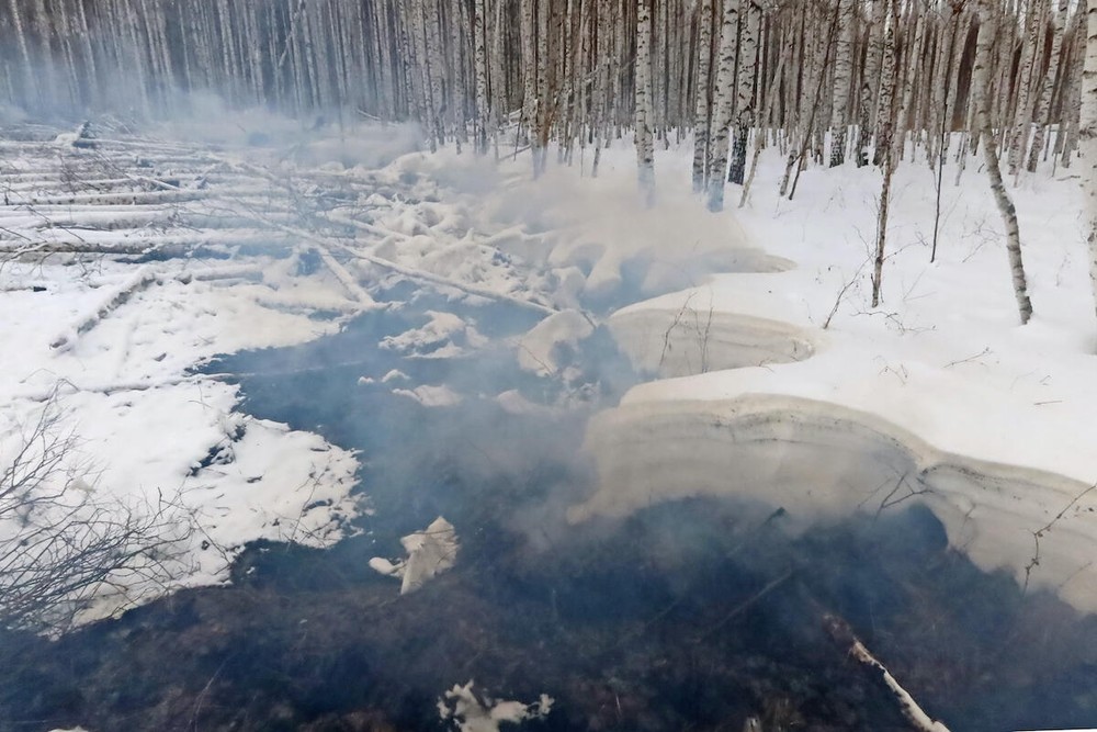 Фото: greenpeace.ru