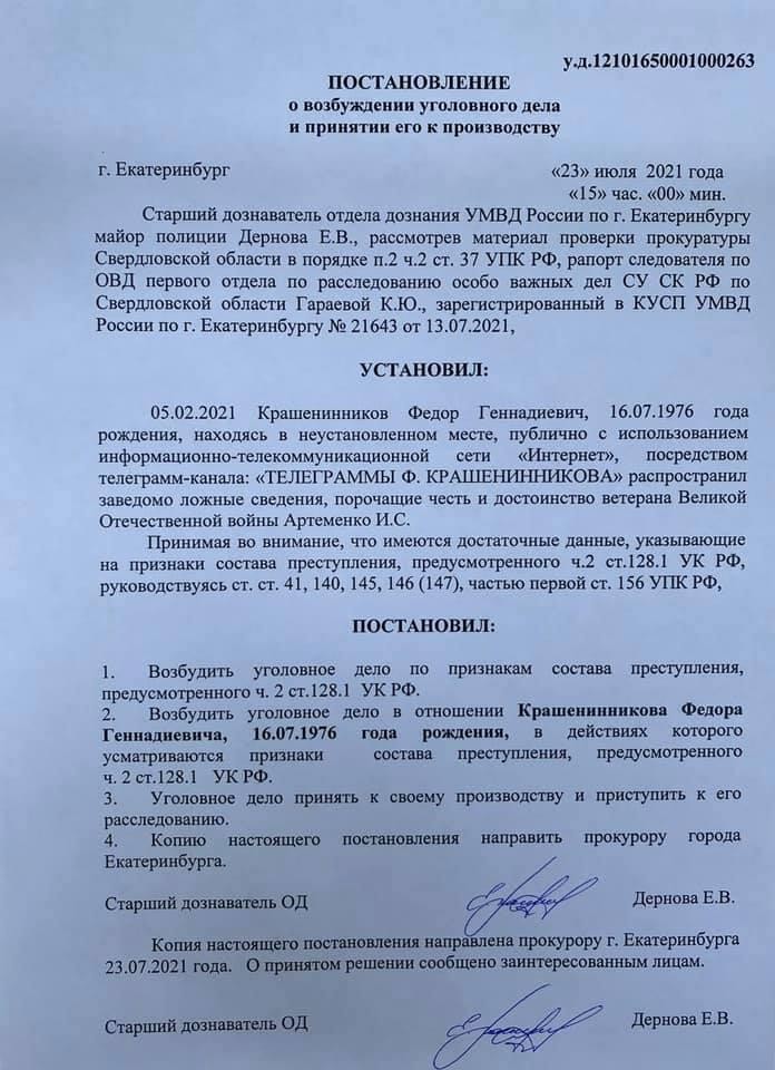Постановление о возбуждении уголовного дела. Источник: Facebook Федора Крашенинникова