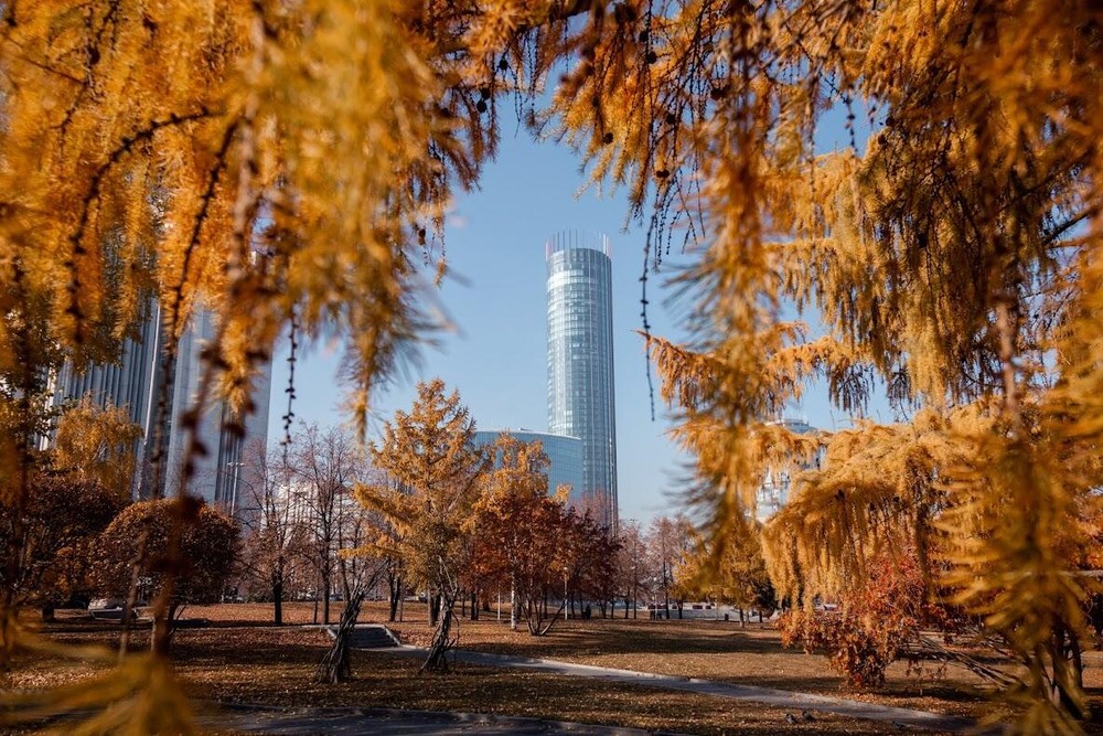 Фото: It's My City