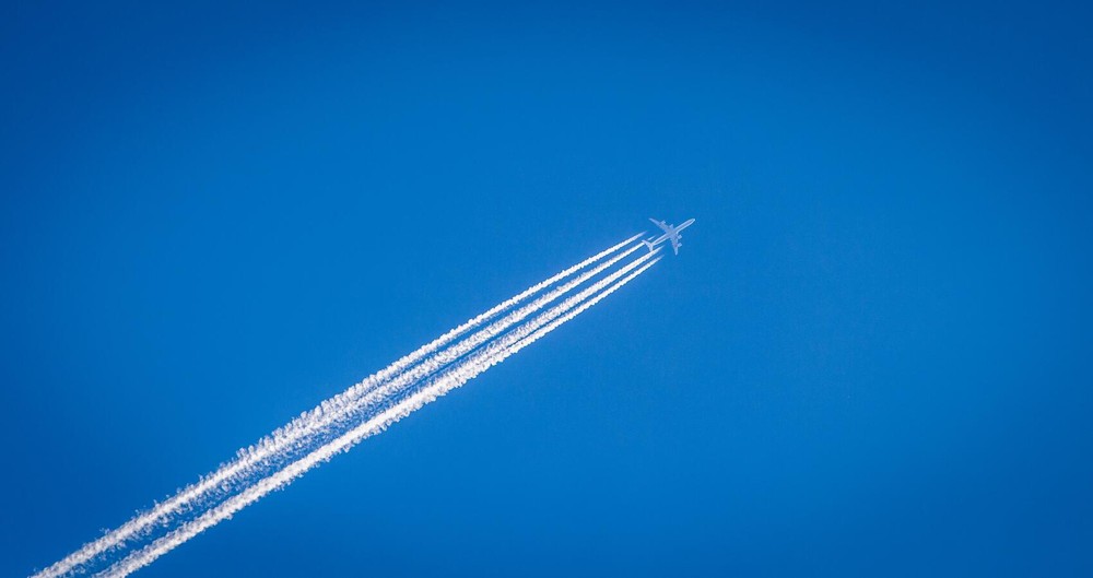 Фото: William Hook/Unsplash.com