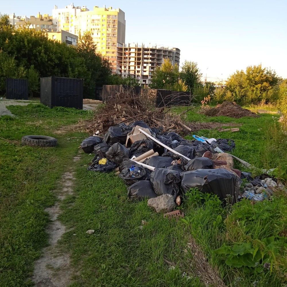 Мусор, который вычистила команда проекта. Фото: Роман Сурин