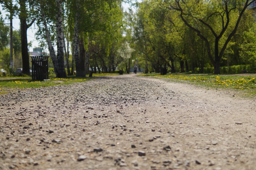 Фото: Елена Елизарова / It’s My&nbsp;City