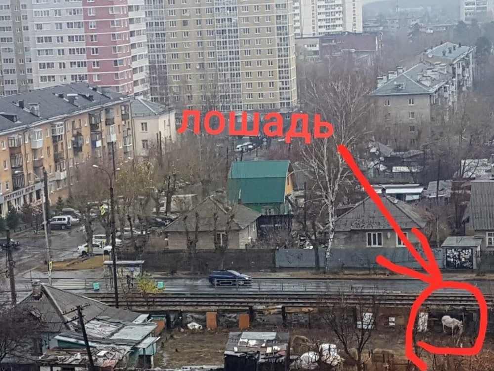 Фото: Лейла Гуйсейнова/Facebook