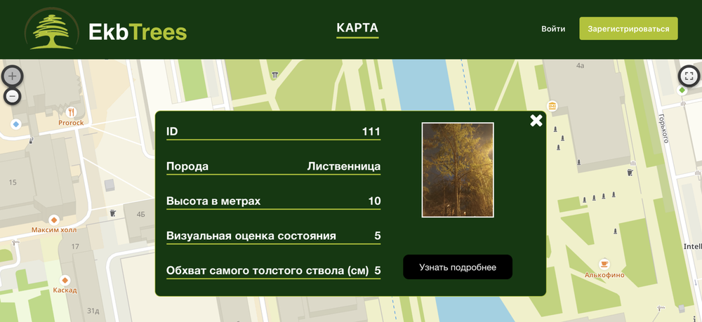 Фото: скриншот сайта EKBtrees 