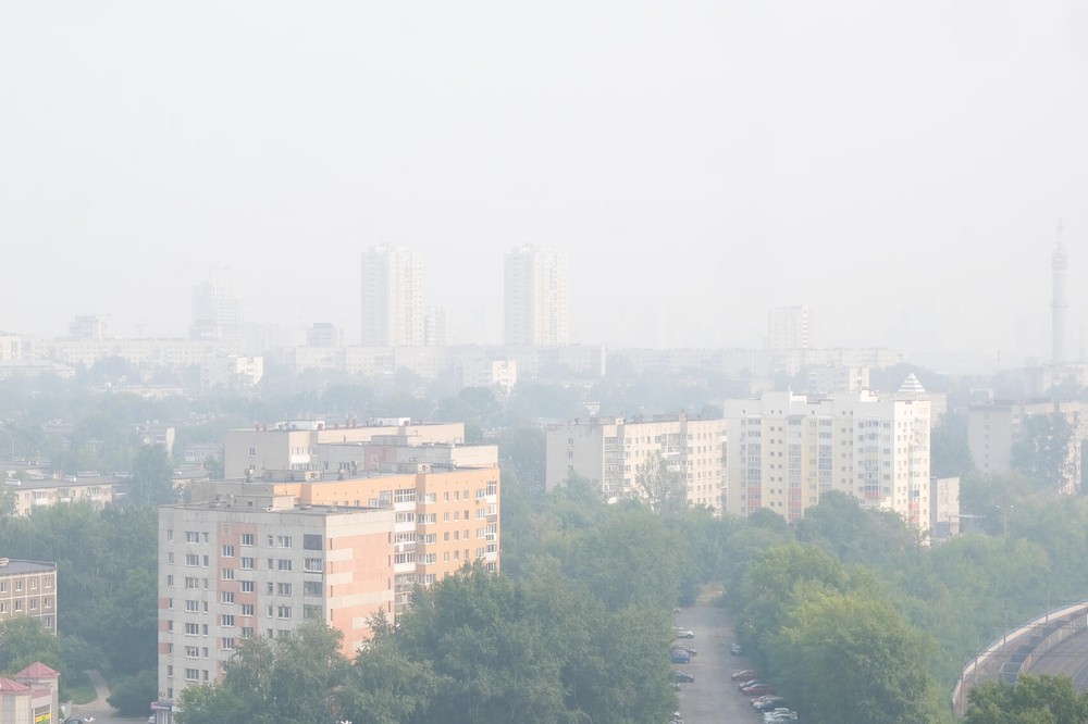 Фото: Саша Зубковский / It’s My&nbsp;City