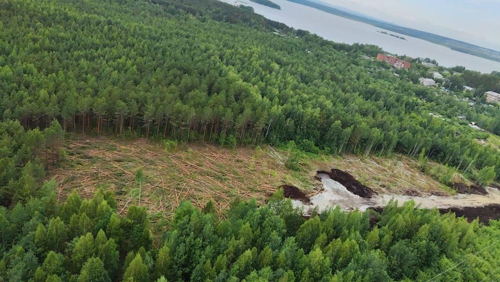 Фото: телеграм-канал «Парки и скверы Екатеринбурга»