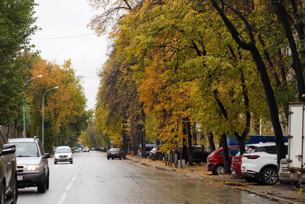 Фото: Елена Елизарова / It’s My&nbsp;City