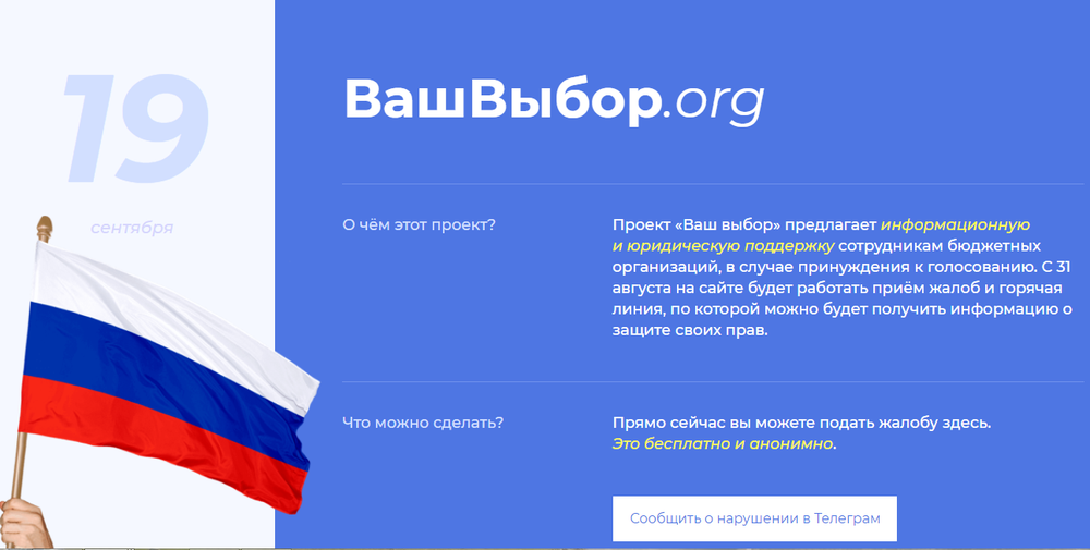 Скриншот сайта «Ваш выбор»