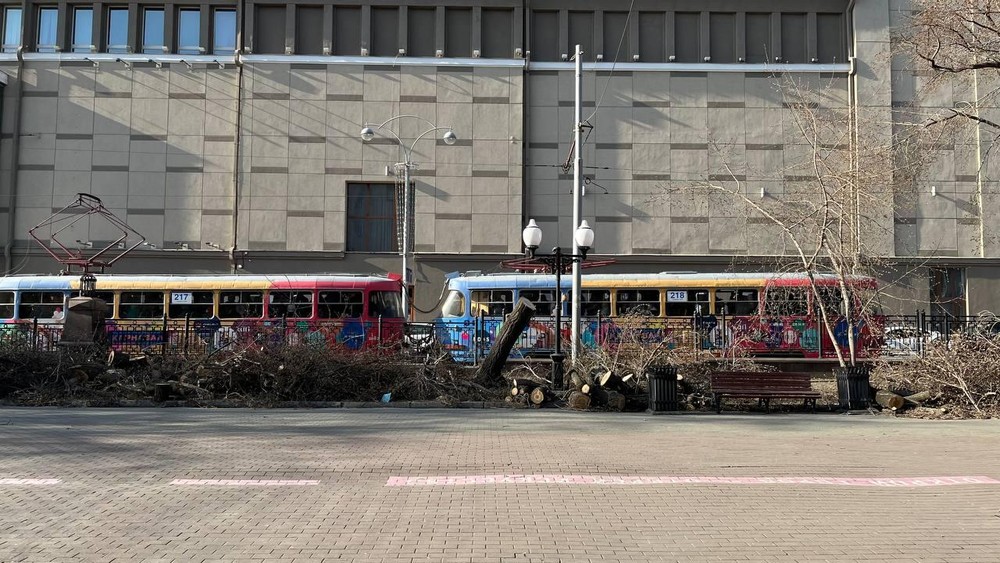 Фото: телеграм-канал «Деревья Екатеринбурга»