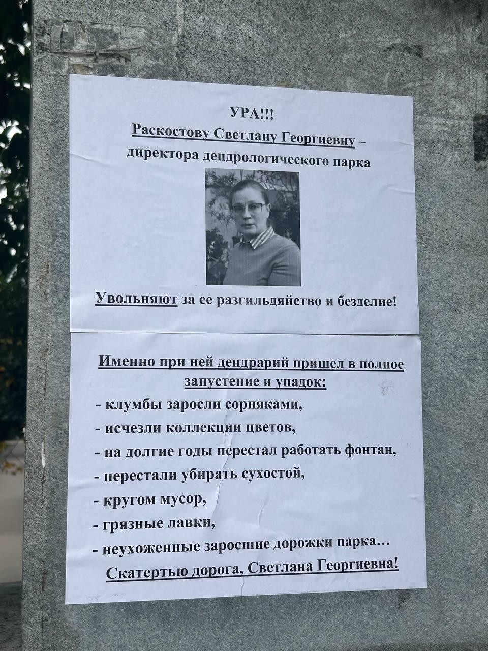 Фото листовки с критикой Раскостовой / читатель It's My City